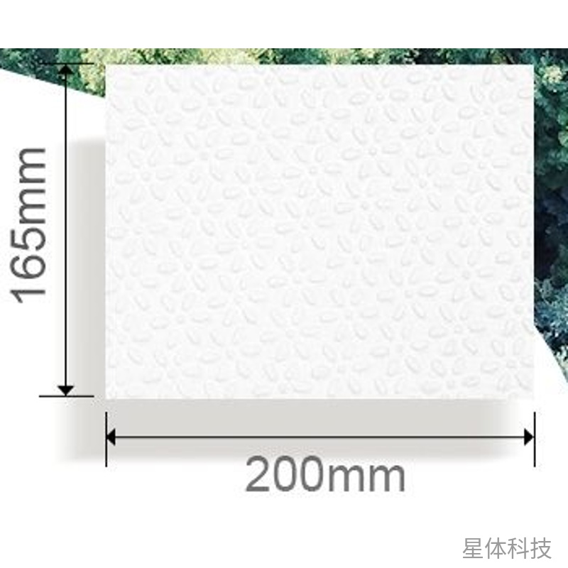 平板卫生纸 日常卫生用纸 400张×12包 整箱图片3