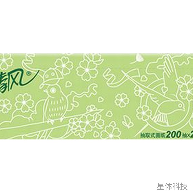 抽取式面巾纸 2层200抽×20包箱装 XT-E245图片3