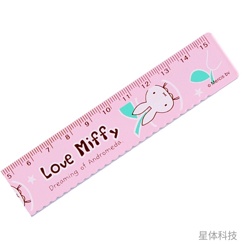 钢直尺 15cm 1把图片3