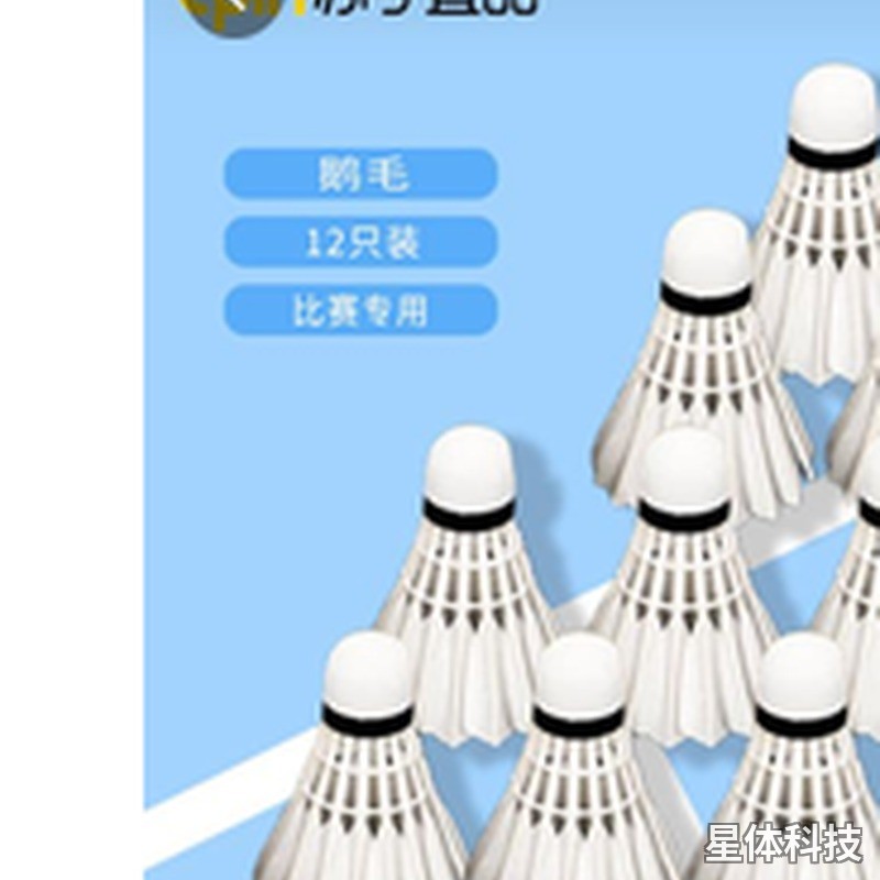 羽毛球 耐打稳定 12只装/筒 训练比赛用球图片2