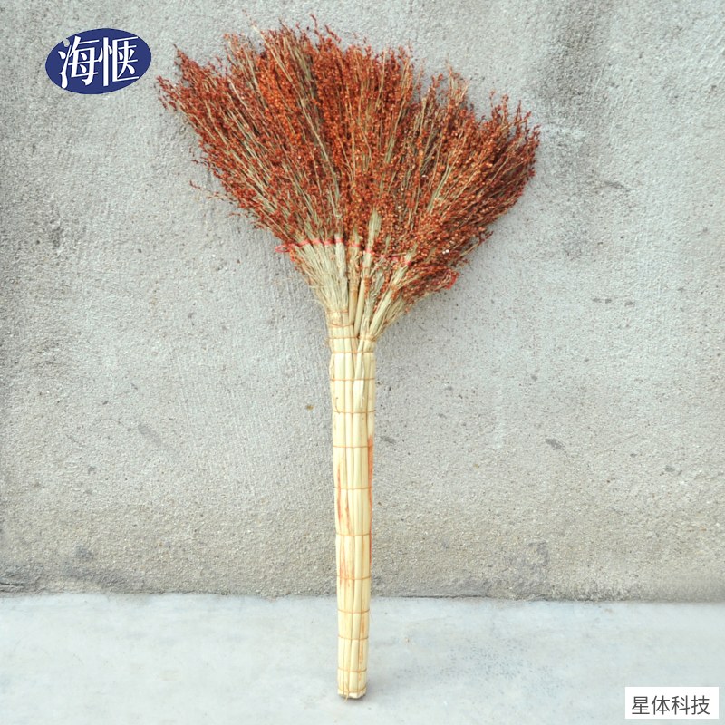 高粱苗扫帚 340克 天然植物扫把 软毛笤帚 家用客厅扫地 庭院清扫 扎把款 植物苗 棕红色图片3