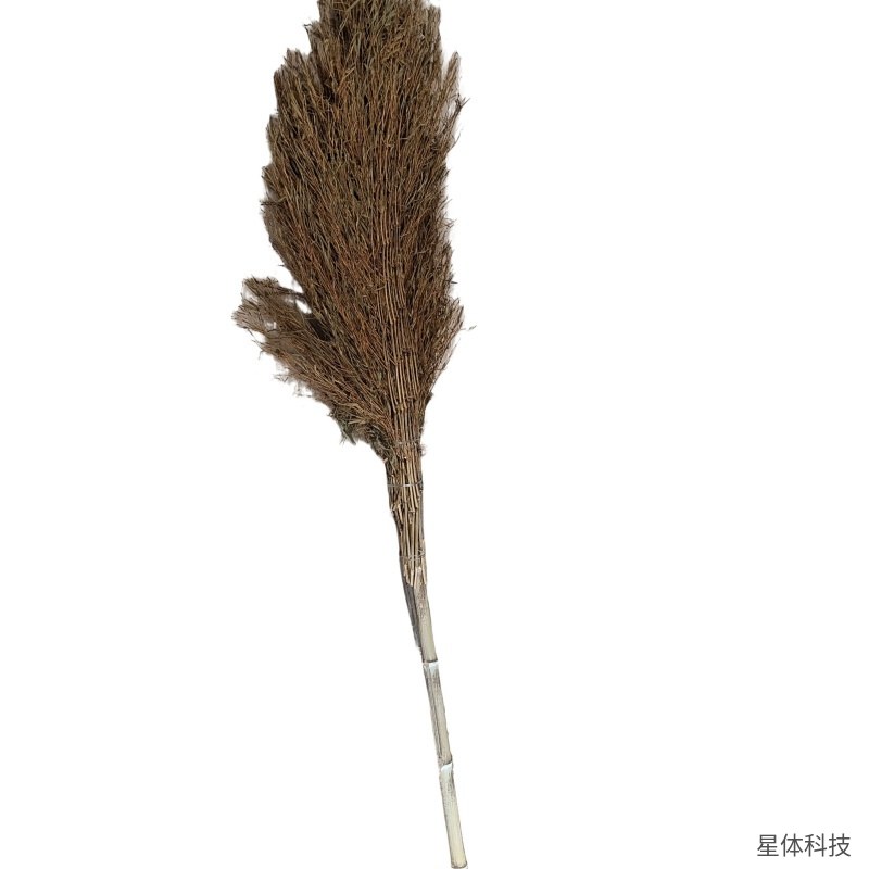 竹扫帚 大号 竹扫把 庭院大扫帚 环卫扫帚 户外道路清扫 马路扫把 清洁工具 棕色图片2