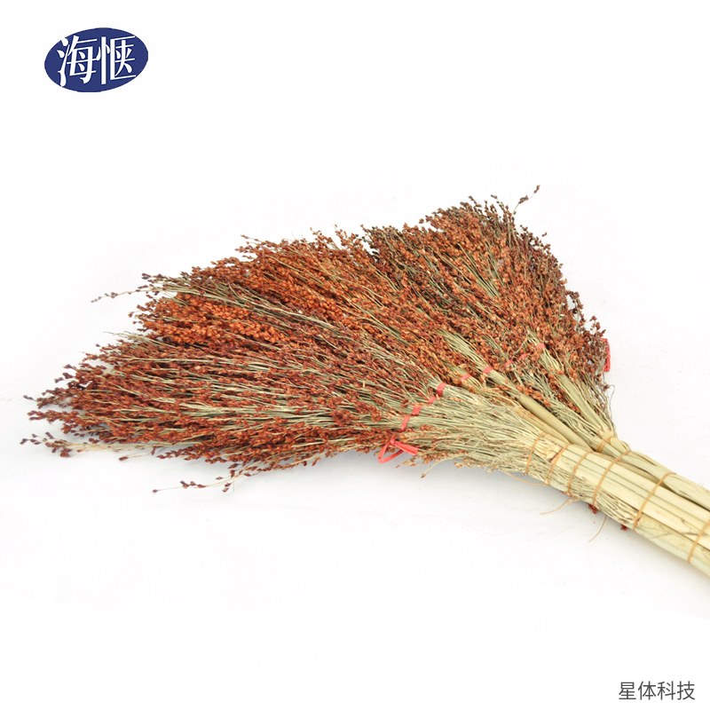 高粱苗扫帚 340克 天然植物扫把 软毛笤帚 家用客厅扫地 庭院清扫 扎把款 植物苗 棕红色图片4