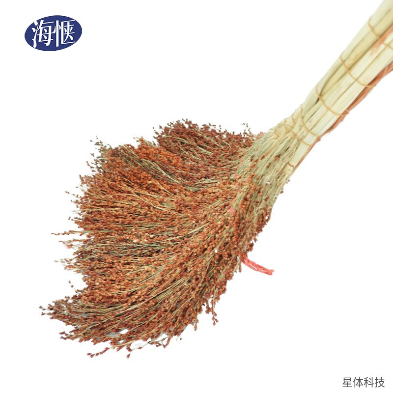 高粱苗扫帚 340克 天然植物扫把 软毛笤帚 家用客厅扫地 庭院清扫 扎把款 植物苗 棕红色图片2